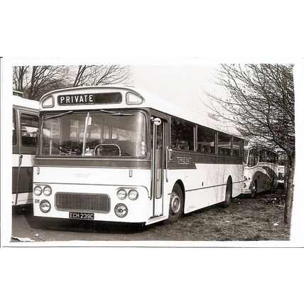Black & White Photograph of Trent Motor Traction Co. Ltd. - ECH 239C