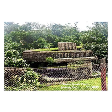 ptc9500 - Yorks - Early view, Floral Piano at Bradford Bowling Pk. - print 6x4