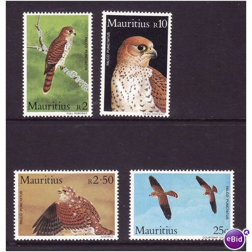 MAURITIUS 1984 KESTRELS SET 4 VALS U/M MINT