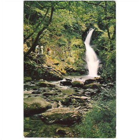 Dolgoch Falls, Tywyn, Gwynedd - Dixon postcard 1960s