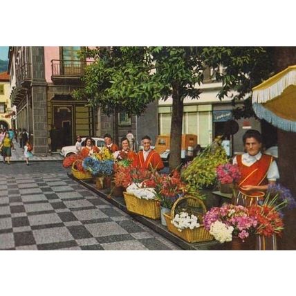 Madeira Islands Flower Girls Street Sellers Fashion Postcard