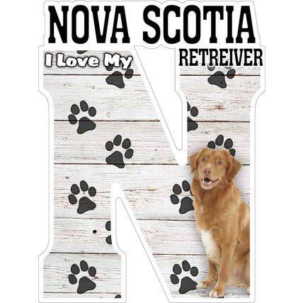 I Love My Nova Scotia Retriever Fridge Magnet
