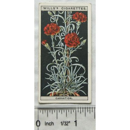 1925 Wills Flower Culture in Pots No. 13 Perpetual-flowering carnation