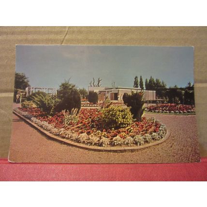 TWYCROSS ZOO, LEICESTERSHIRE unused vintage postcard =