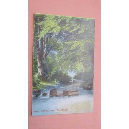 Early Austin Postcard - Spring Valley Trentham, Stoke on Trent - Staffordshire