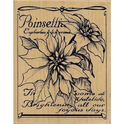 Santa Rosa 2001. Wood Mounted Rubber Stamp. App 10x12cm. Stamping Cardmaking