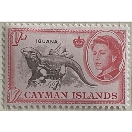 Cayman Islands QEII 1962 1s Sepia & Rose Red Mounted Mint MM SG 174 Iguana stamp