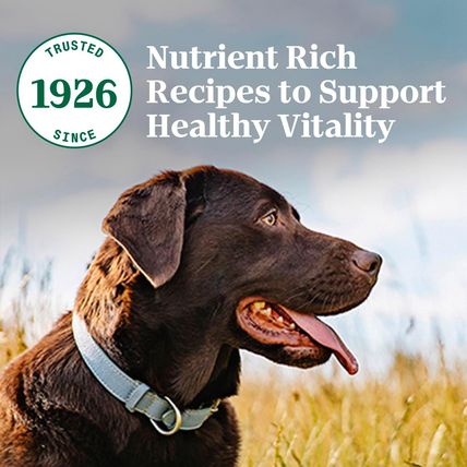 Nutro Natural Choice Adult Dry Dog Food, Chicken and Brown Rice Recipe 30 Lbs.