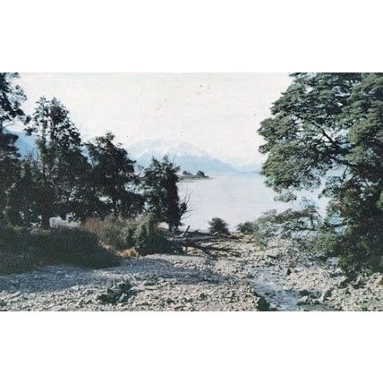 Lake Ohau New Zealand Postcard