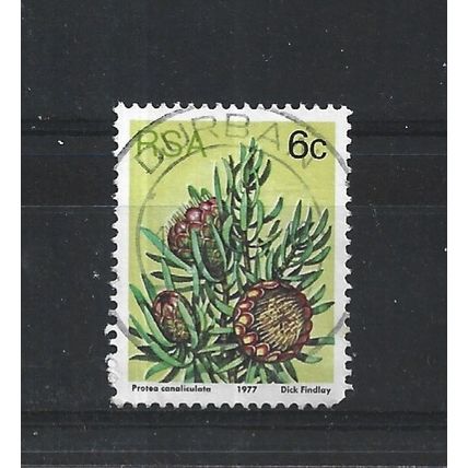 SouthAfrica.SG419 6c Protea Canaliculata.Fine Used.Sep25m