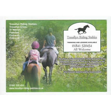 Tresallyn Horse Riding Stables St Merryn Padstow Cornwall Modern Postcard