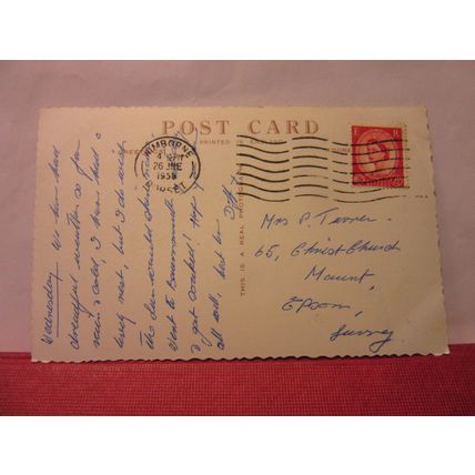 WILD PONIES, LYNDHURST Hants used postcard RP new forest horses 1958 pm =