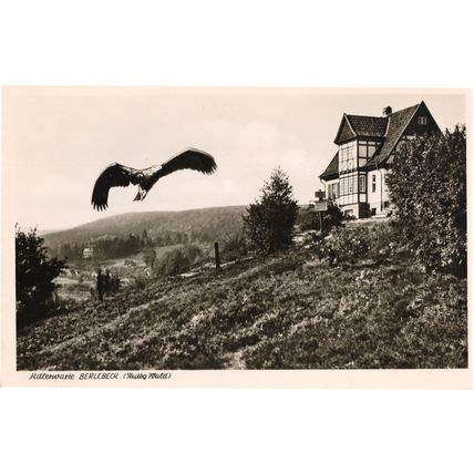 Berlebeck Hotel Eagle Real Photo Antique German Postcard