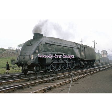 pu2802 - Engine No.60016 Silver King at Aberdeen Ferryhill Shed - photograph 6x4