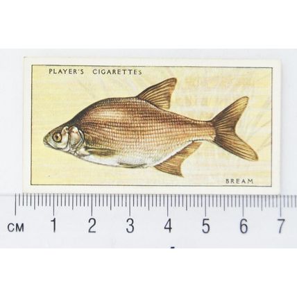 1933 Players Fresh-water Fishes, pink back No. 4 Bream