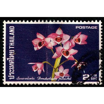 Thailand 1975 Flower Orchid 2B Used Stamp ..