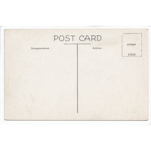 Runsell Green Danbury Postcard Essex D8
