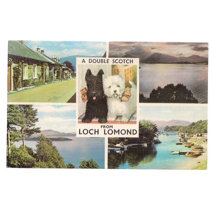 multiview, LOCH LOMOND, SCOTLAND used postcard 1971 pm Double Scotch dogs =