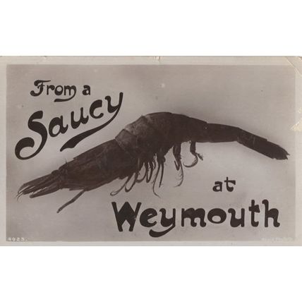 Saucy Weymouth Dorset Antique Fish Lobster Real Photo Postcard