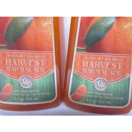 2 Bath & Body Works Deep Cleansing Hand Soap Heartland Harvest Marmalade