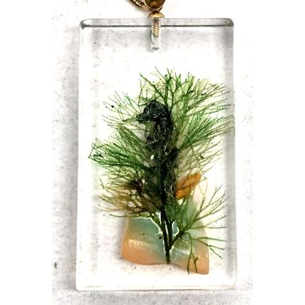 Ft Lauderdale Florida Souvenir Keychain Faux Seahorse Shell Lucite Vintage HTF