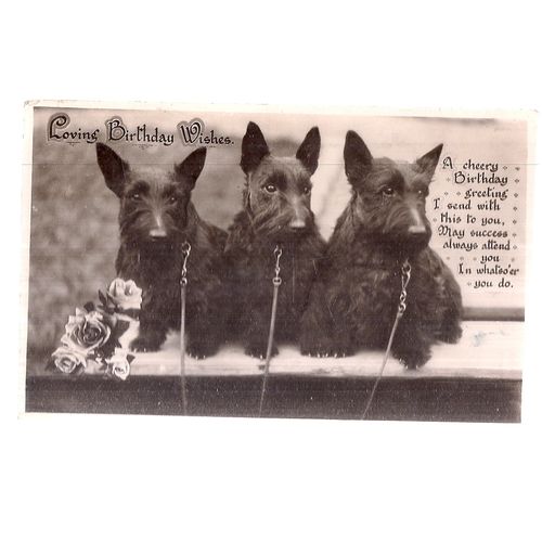 LOVING BIRTHDAY WISHES.. used vintage postcard 1935 postmark Scottish terriers
