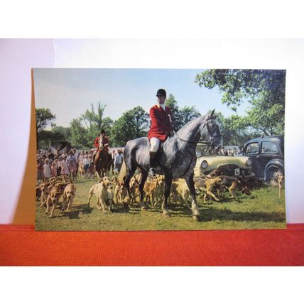 HUNTING WITH HOUNDS unused postcard by J. Salmon #