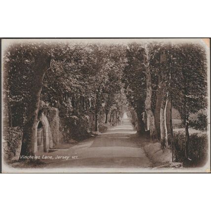 Vinchelez Lane, Jersey, 1913 - Postcard