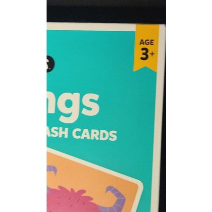 Junior Explorers®: Feelings Slide & Learn Flash Cards