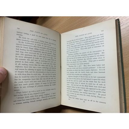 RARE* 1894 1ST EDITION EVELYN EVERETT-GREEN "SHUT IN" HISTORY FICTION BOOK (P6)