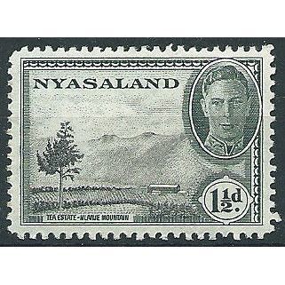 Nyasaland 1945 SG146 1 1/2d Black & Grey-Green Unmounted Mint ....