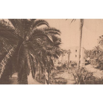 Insulinde Hotel Cannes French Antique EX Postcard