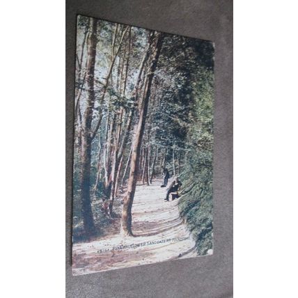 1921 fr Photochrom Postcard - Pine Walk - Folkestone, Kent
