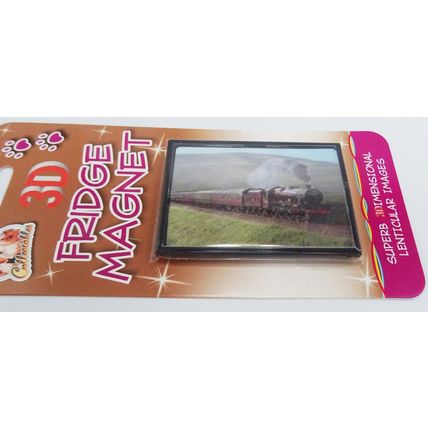 STEAM TRAIN fridge magnets 3D or Antique brass effect 8 choices