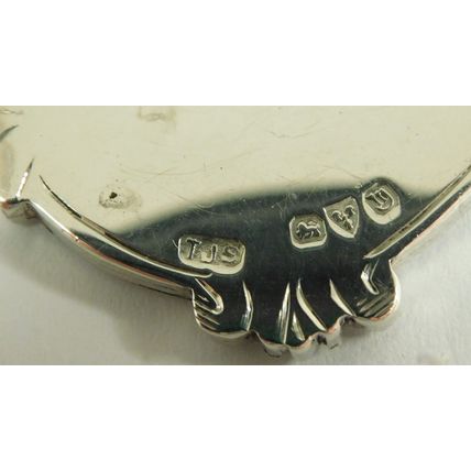 Solid Silver Enamel Albert Chain Fob Medal St John Ambulance Beavis Cup 1937