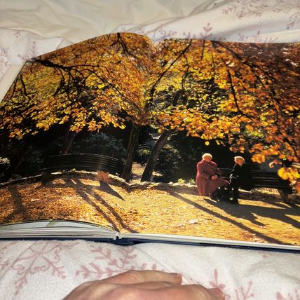 Rijeka - an inexhaustible source, By Petar Trinajstic. Hardback 1999