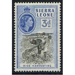 Sierra Leone 1956 3d Black & Bright Blue Unmounted Mint NHM SG 214 Rice stamp