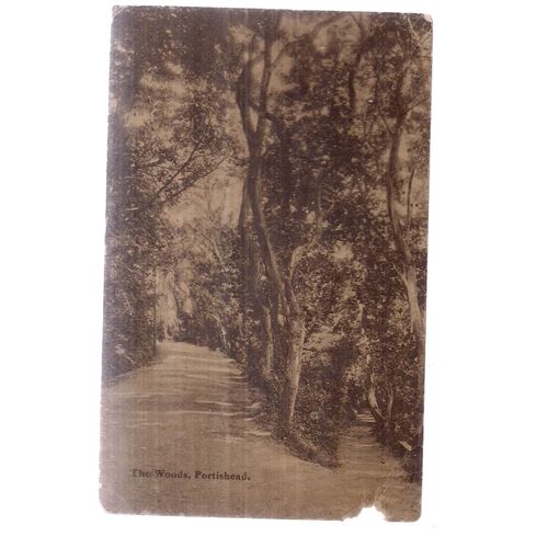 THE WOODS, PORTISHEAD, SOMERSET .used vintage postcard as seen =