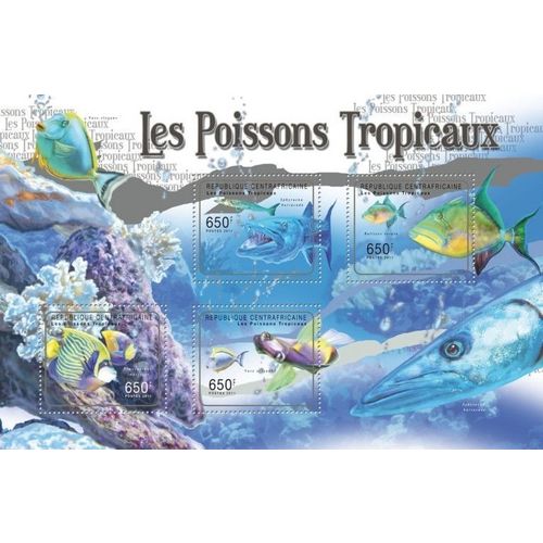 CENTRAL AFRICA 2011 SHEET MNH FISHES TROPICALS MARINE LIFE POISSONS TROPICAUX