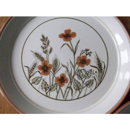 DINNER PLATES x 3 RAISED RIMS FLORAL IN AUTUMNAL COLOURS 25.3cms DIAMETER **GC**