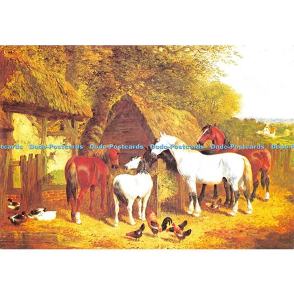 D026164 Horses and Ponies Feeding. Mrs. George Steinberg. J. F. Herring Snr. The