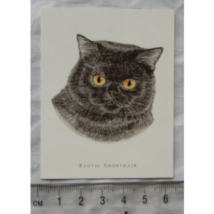 Golden Era card - Cats No. 11 Exotic Shorthair