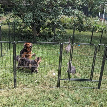 Dog Playpen, Dog Fences for the Yard, Portable Outdoor Dog Playpen for Large/Med