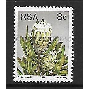 SOUTH AFRICA 1977 SUCCULENTS 8c P MUNDII SG 421a FINE USED