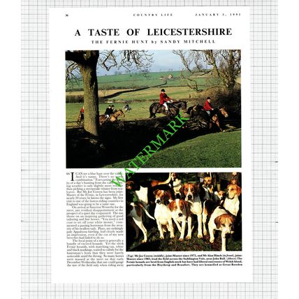 The Fernie Hunt Joe Cowen Alan Hinch Rod Millngton Bruce Durno - 1991 Article