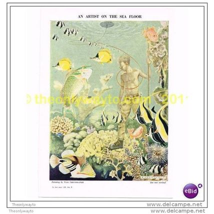 AN ARTIST ON THE SEA FLOOR BY ELIE CHEVERLANGE, Book Illustration, c1953