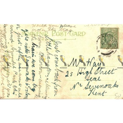 Castle Park, Arundel, Sussex, 15370 Valentines Series Postcard, 1900s