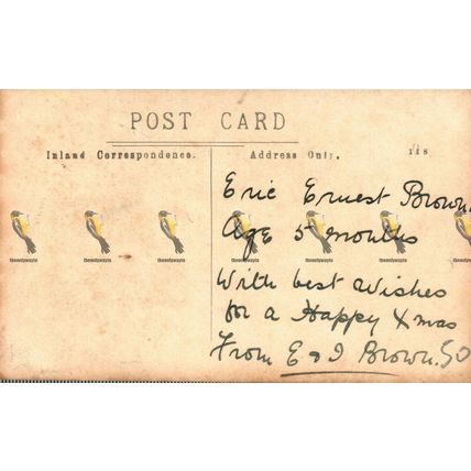 Eric Ernest Brown 5 Months, 118 Worthing Portrait Co, RP Social History Postcard