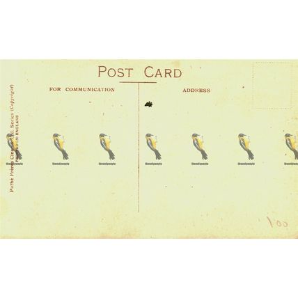 Pearl White, Silent Movie Star, Pathe Freres Cinema, Postcard