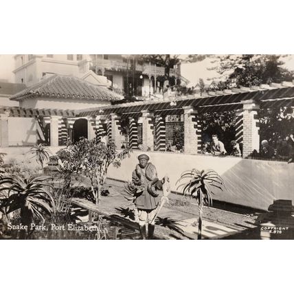 Snake Handler at Reptile Park Zoo Port Elizabeth Africa RPC Postcard